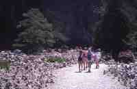 photos_crete00.jpg (343 K)