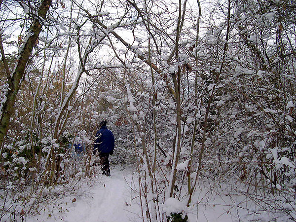 10-sous_neige