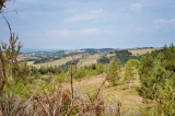 imm018_18A1.jpg (59 K)