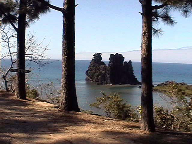 25_jp