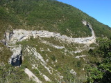DSC00163.JPG (247 K)