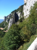 DSC00165.jpg (107 K)