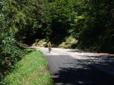 DSC00170.JPG (234 K)