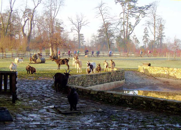 11_hameau_de_la_reine