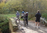 DSC00249.jpg (260 K)