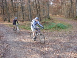 DSC00250.jpg (263 K)