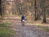 DSC00251.jpg (259 K)