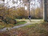 DSC00256.jpg (277 K)