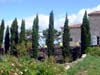 DSC00809