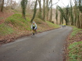 DSC00474.JPG (90 K)