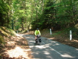 DSC00611.JPG (106 K)
