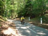 DSC00613.JPG (109 K)