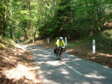 DSC00614.JPG (105 K)
