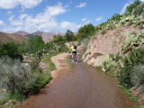 j6_11_54_p1020427.jpg (83 K)
