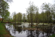 sdk_2010-05-16_17-03-53.jpg (179 K)