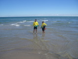 sdk_2010-05-18_12-18-09.jpg (79 K)