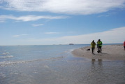 sdk_2010-05-18_12-32-57.jpg (89 K)