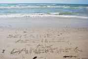 sdk_2010-05-19_16-16-42.jpg (122 K)