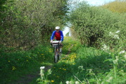sdk_2010-05-20_14-42-15.jpg (231 K)