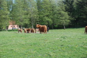 sdk_2010-05-20_17-08-57.jpg (208 K)