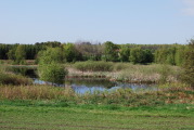sdk_2010-05-21_10-30-23.jpg (153 K)