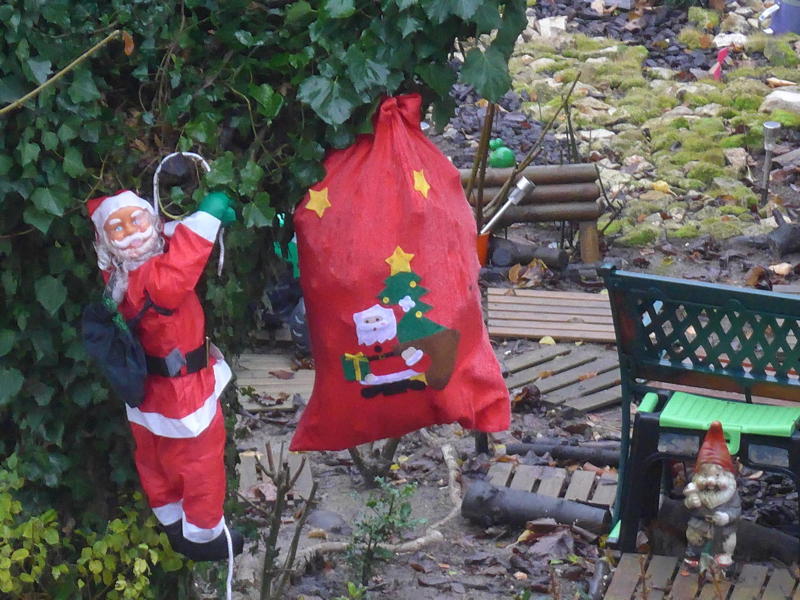 Abeille - Rapport Moral 2018