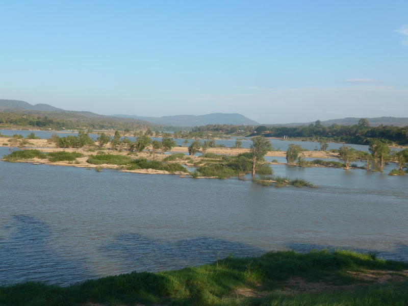 Abeille - Rapport Moral 2018