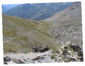 image004