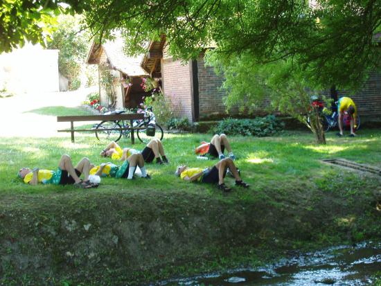 sieste abeille a lachy