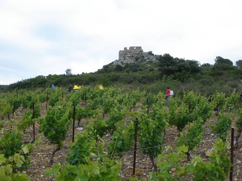 Vers le chateau d'Aguilar