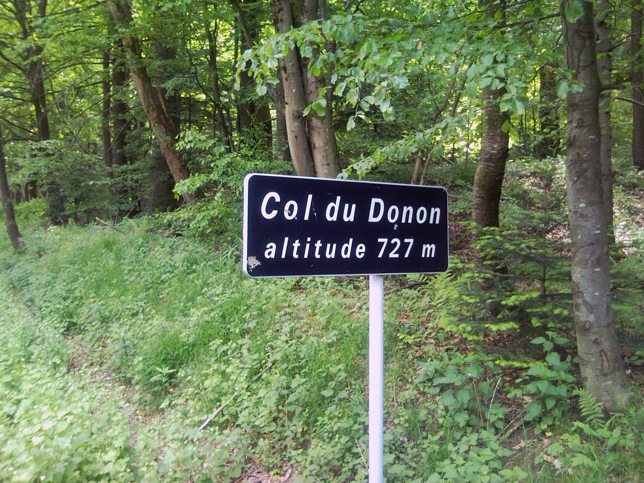 col_du_donon