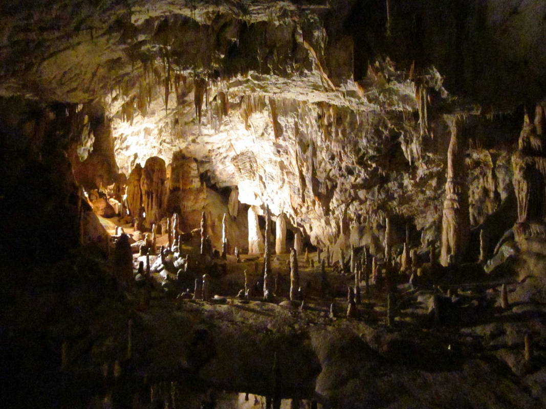 Grottes de Postojna