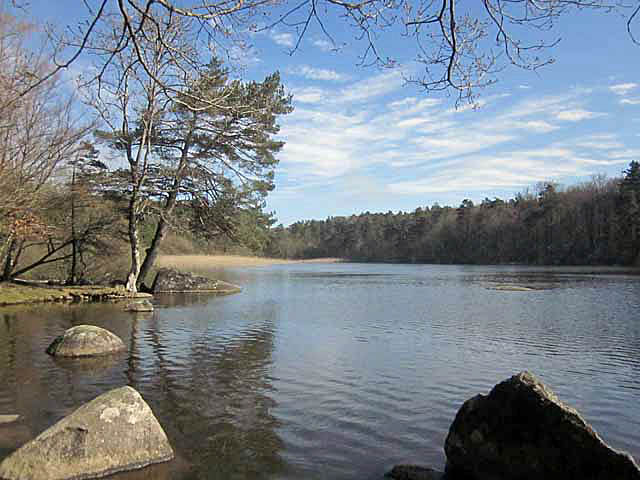 vi_05_2012