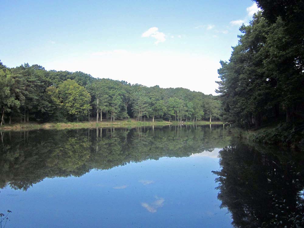 etang_de_coupe_gorge