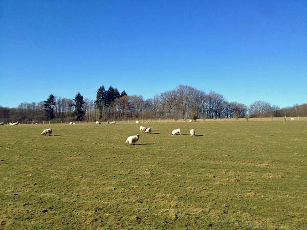 rallye_de_versailles_05