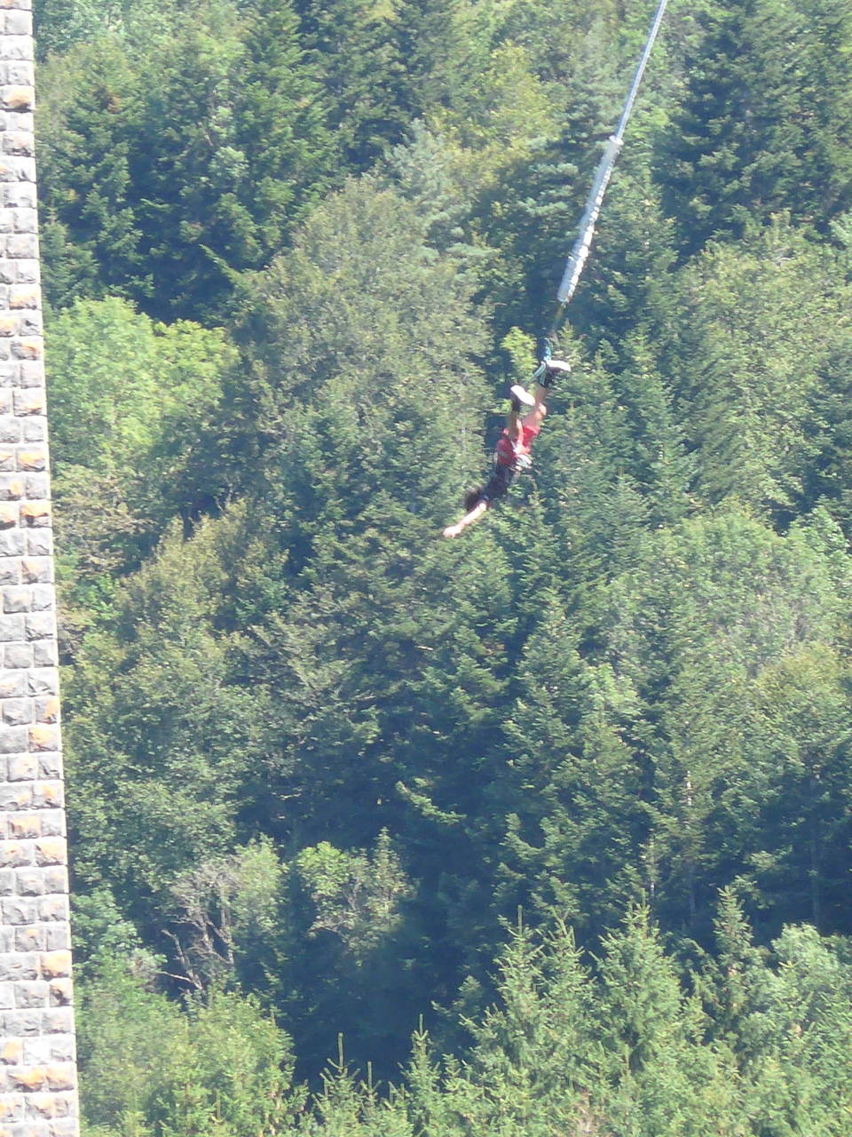 saut a l'elastique