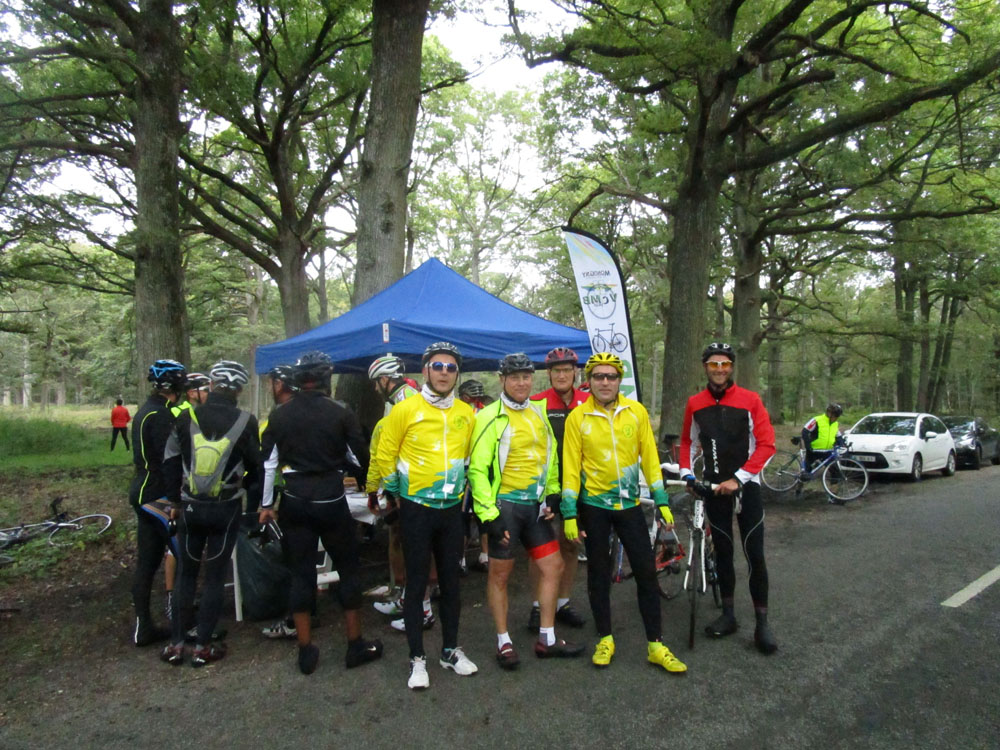 Abeilles au contrôle