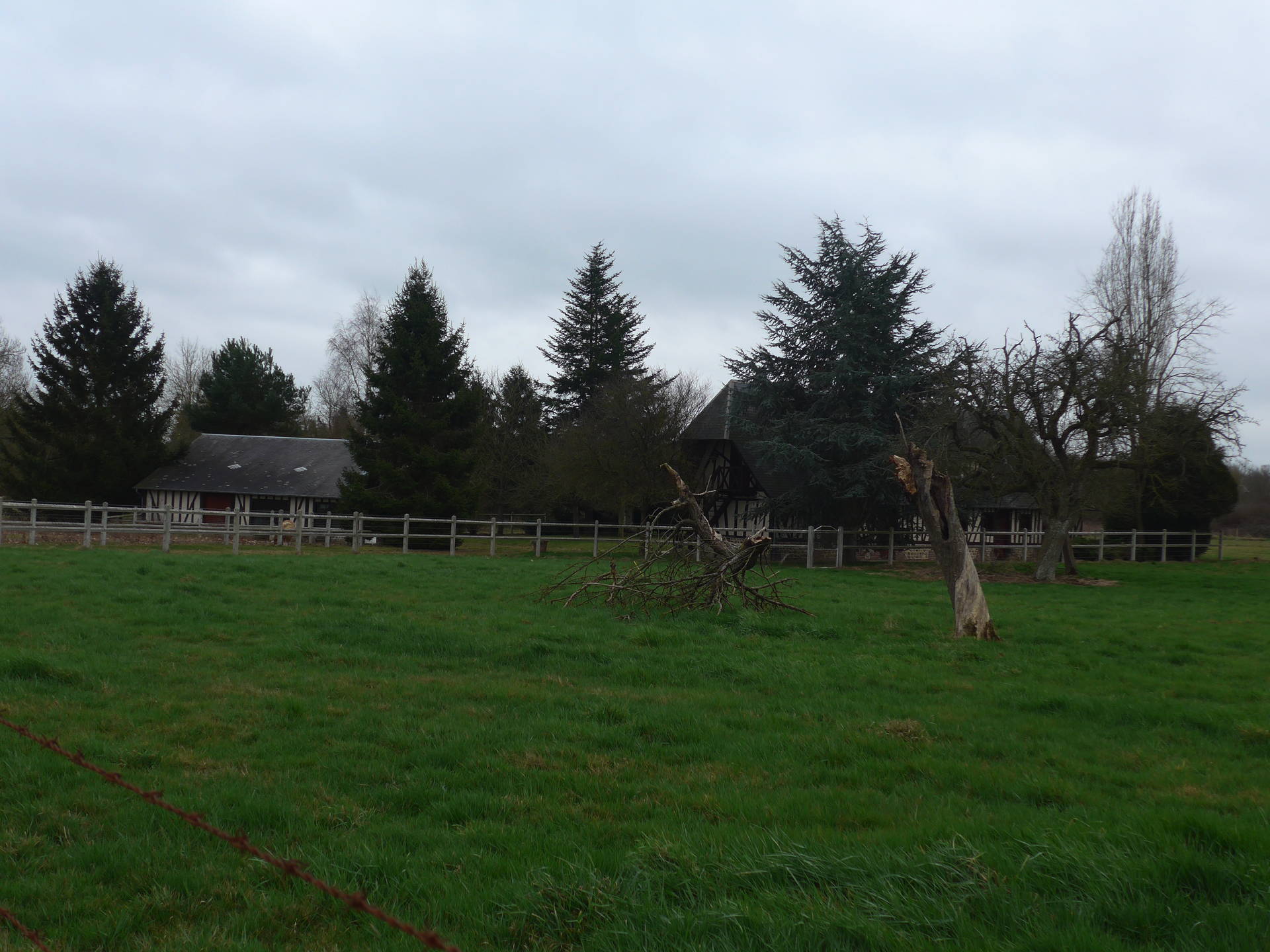 Pedicyclette a Conches