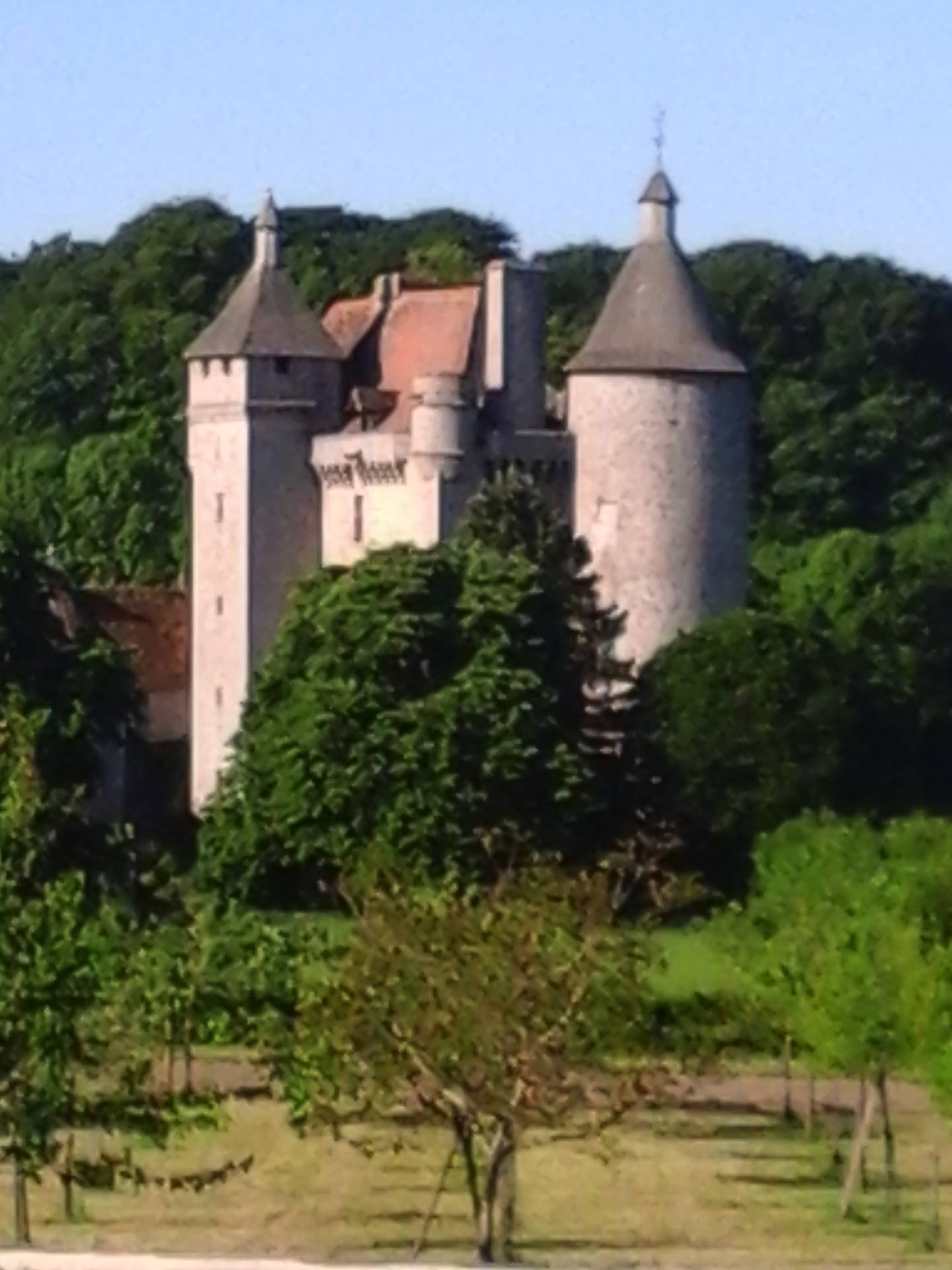 Chateau de Villemonteix