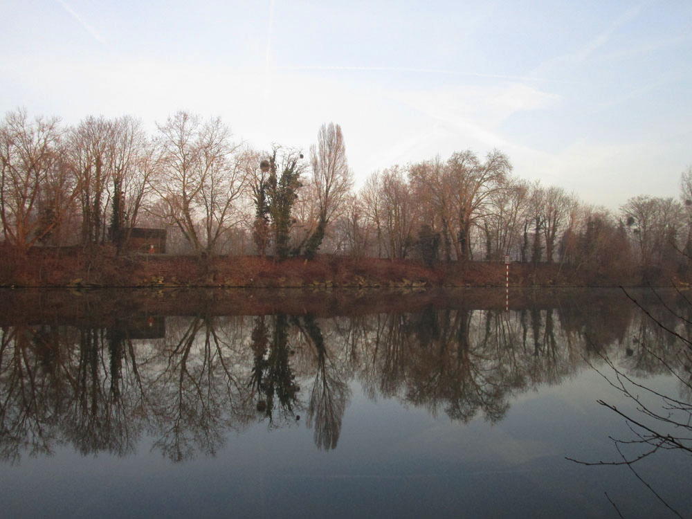 Photo de sortie Abeille