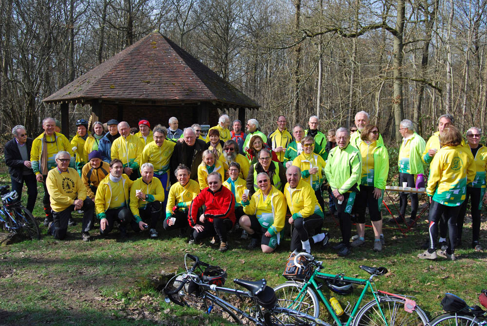 Groupe Abeille aux flambertins