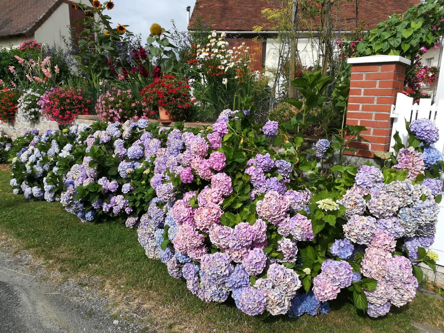 Massif de
            fleurs &agrave; Aigurande
