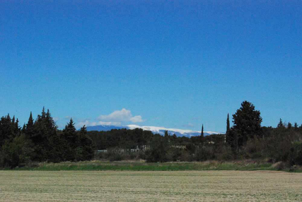 P&acirc;ques
              en Provence