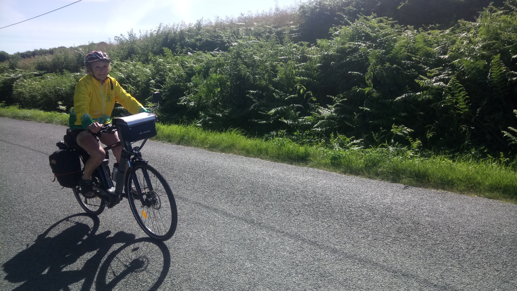 Abeille
              &agrave; v&eacute;lo