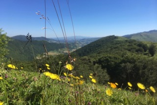 Jour du pas
              de Perols