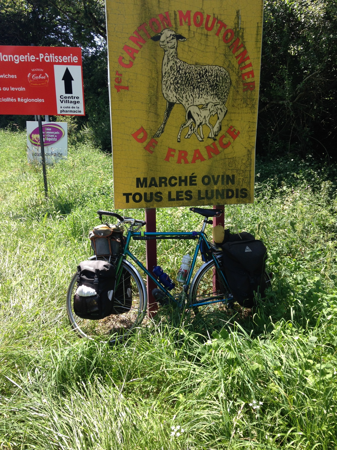 Il y a des
          moutons &agrave; Requista