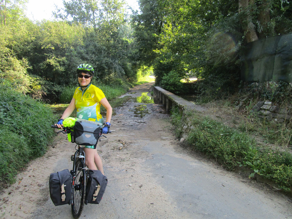 Flèche
              Abeille de Perpignan