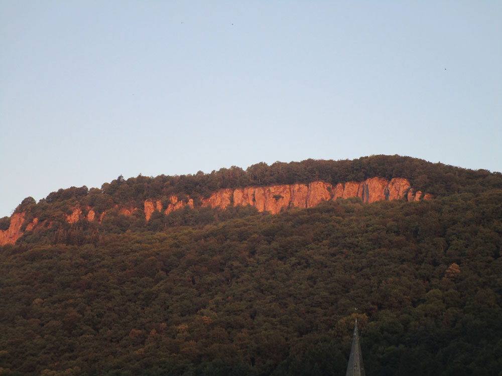 flèche Abeille de Perpignan