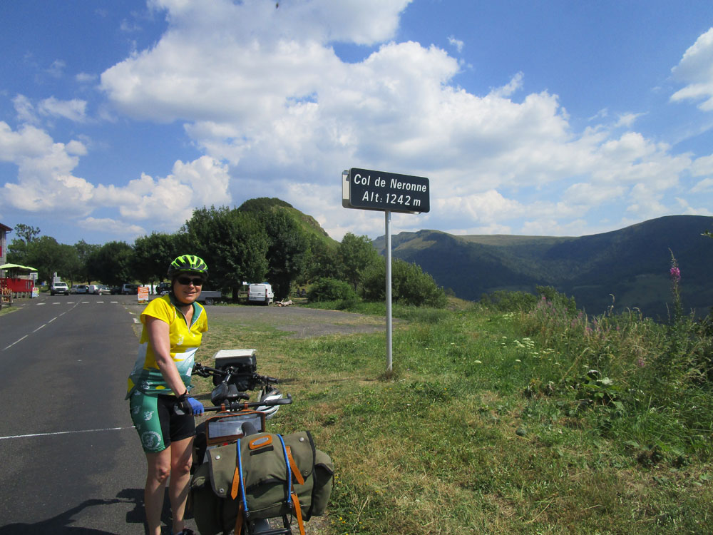 Flèche
              Abeille de Perpignan