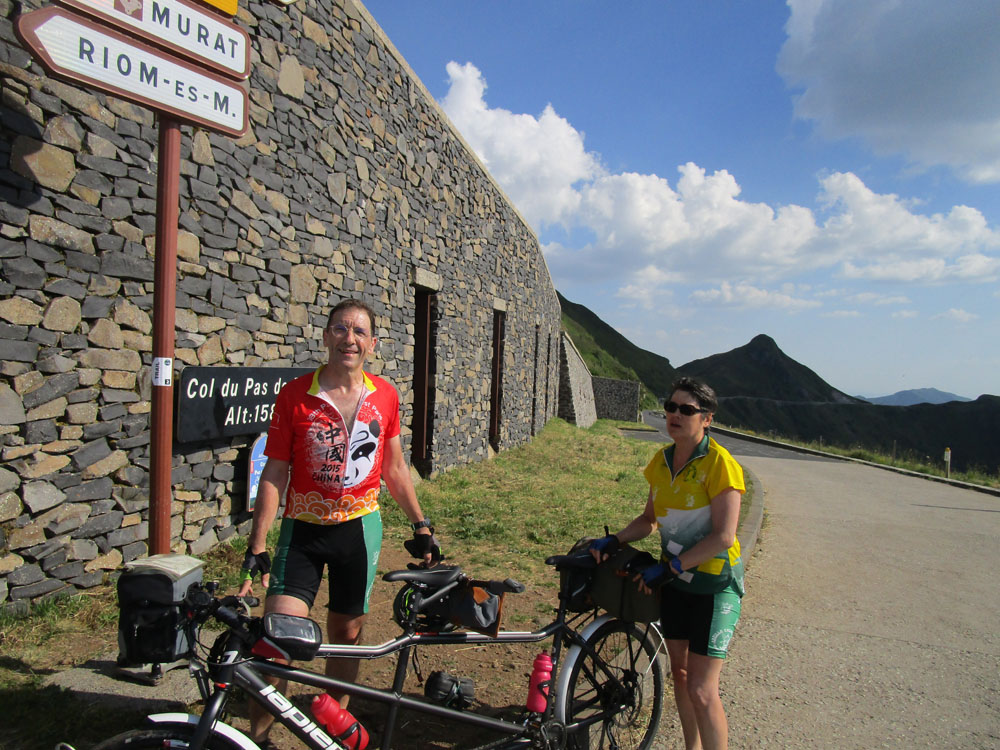 Flèche
              Abeille de Perpignan